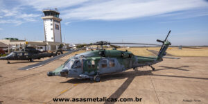 Dia das Aeronaves de Asas Rotativas